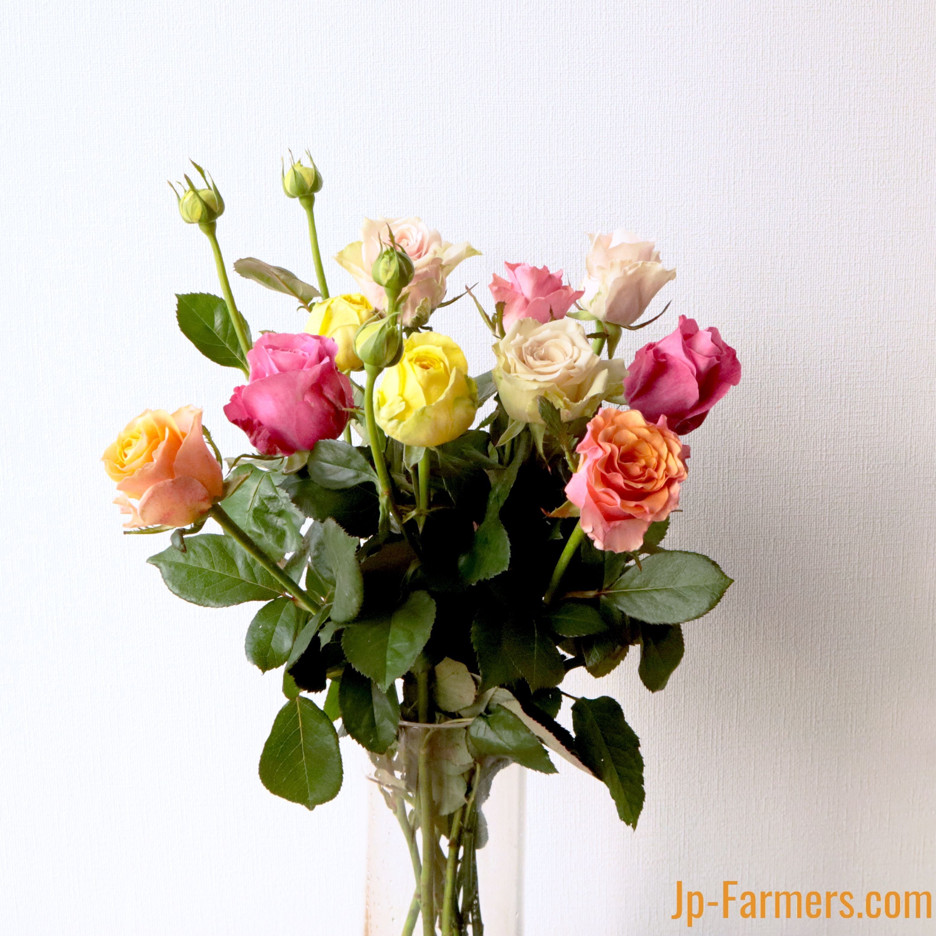 バラエティ豊富なバラを楽しめる！バラアソート 20本 | 新鮮お花問屋