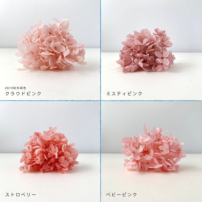 全２４色 ピラミッドアジサイこわけ Oh あじさい 自然素材こわけ専門店 あじさいや