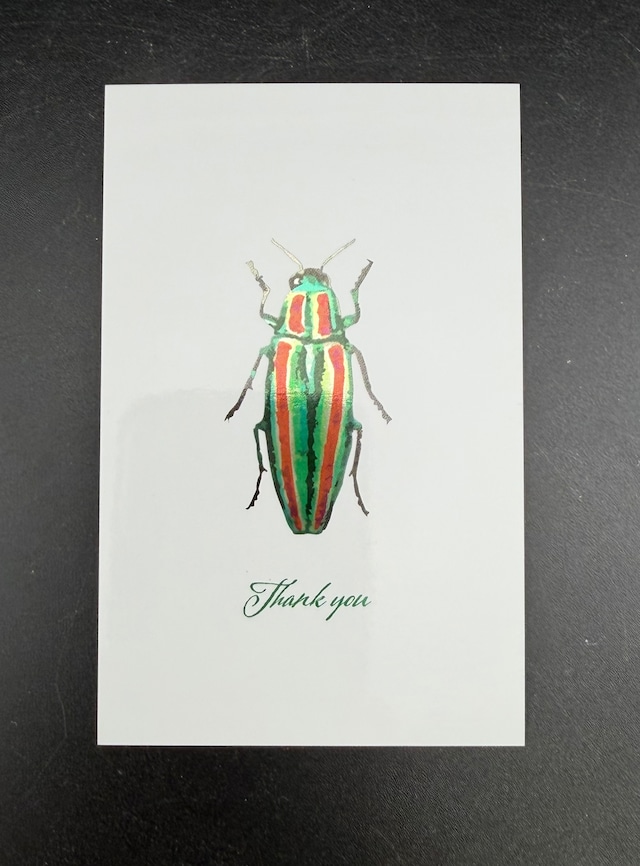 Thank you カード 5枚入り（タマムシ）箔押し
