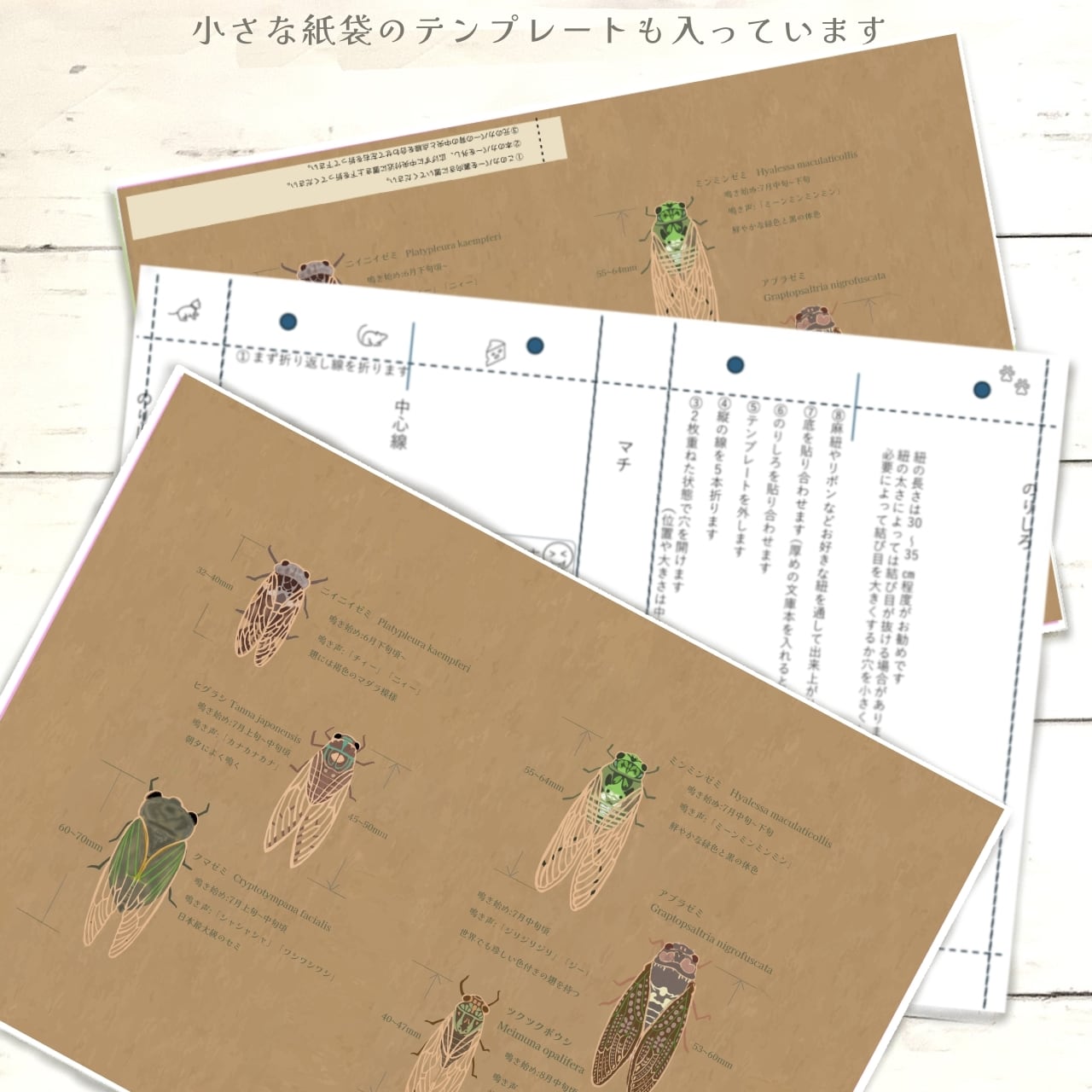 夏を鳴く　6種類の蝉｜イラストペーパー(ダウンロード版)