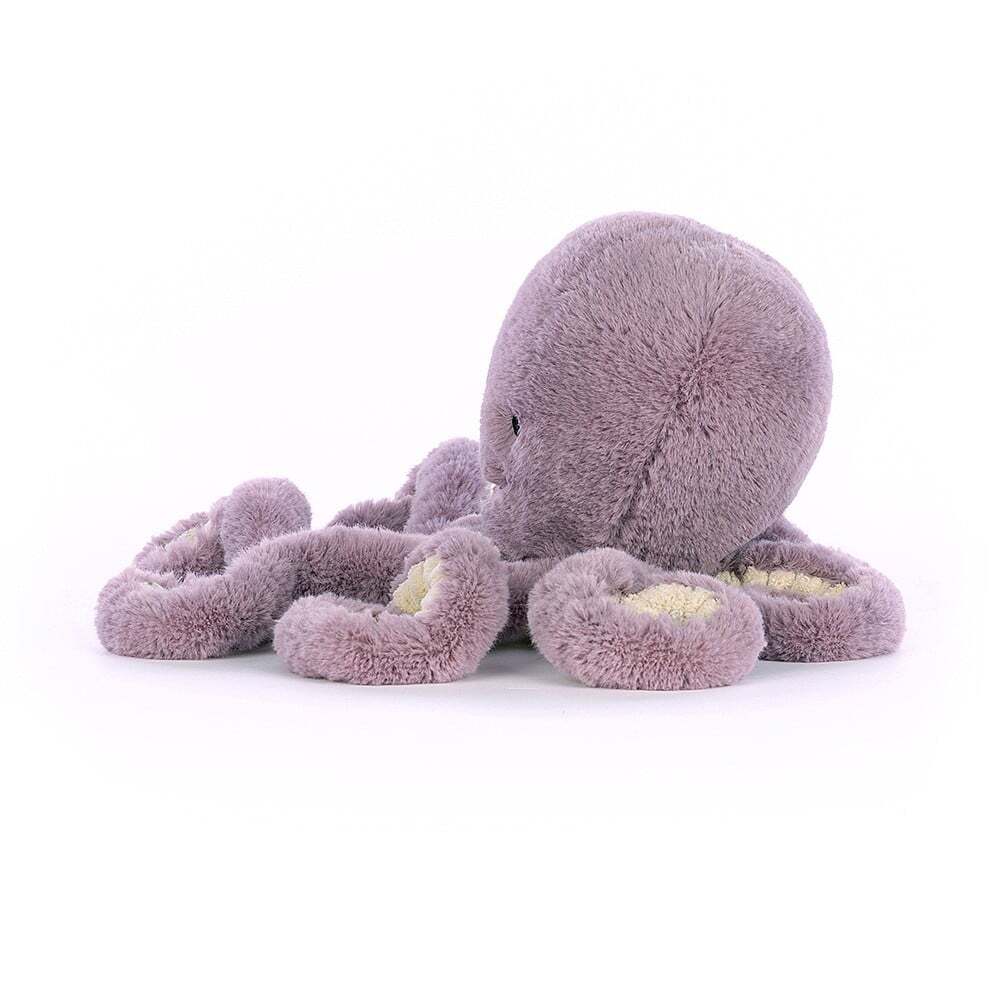 Ariel Octopus Little_AL2OC