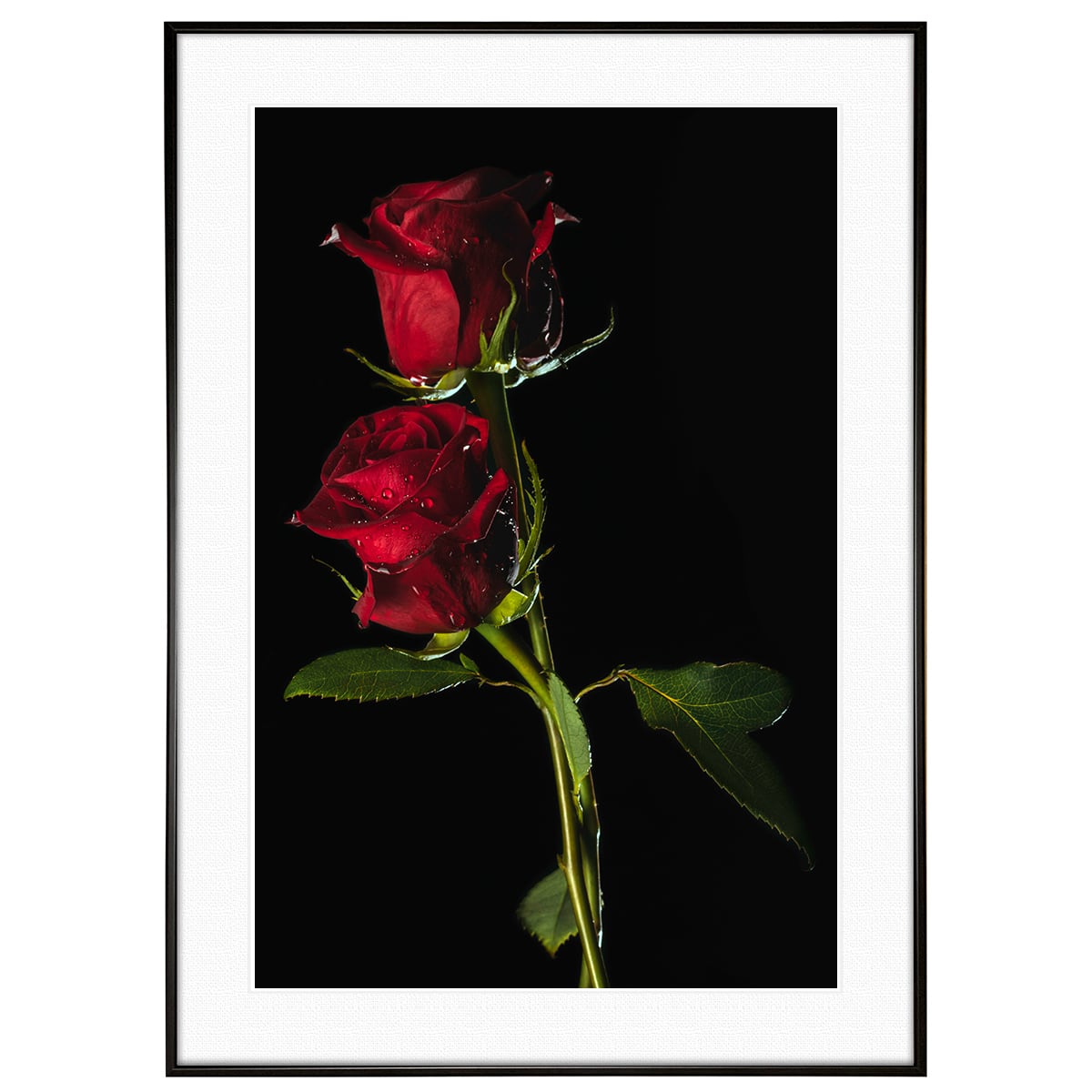 絵画「赤いバラ」 壁掛け A3 額入り (横32cm x 縦43cm) Amazon.co.jp: 絵画「赤いバラ」インテリア 壁掛け アートパネル A3 額