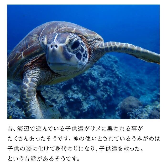 レジンアートウミガメキーホルダー | オーガニック島（㈱PureHealing）