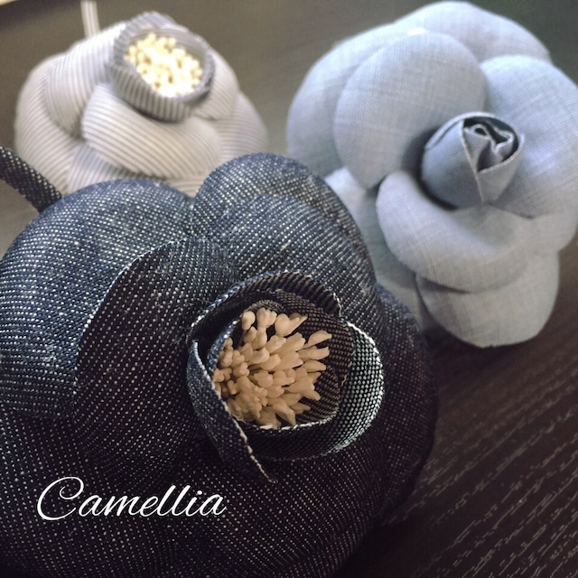 Camellia カメリアレッスン