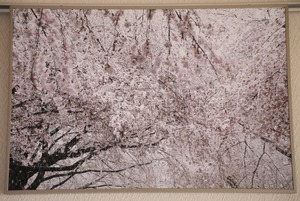 中野通りの雪と桜（個展展示品）