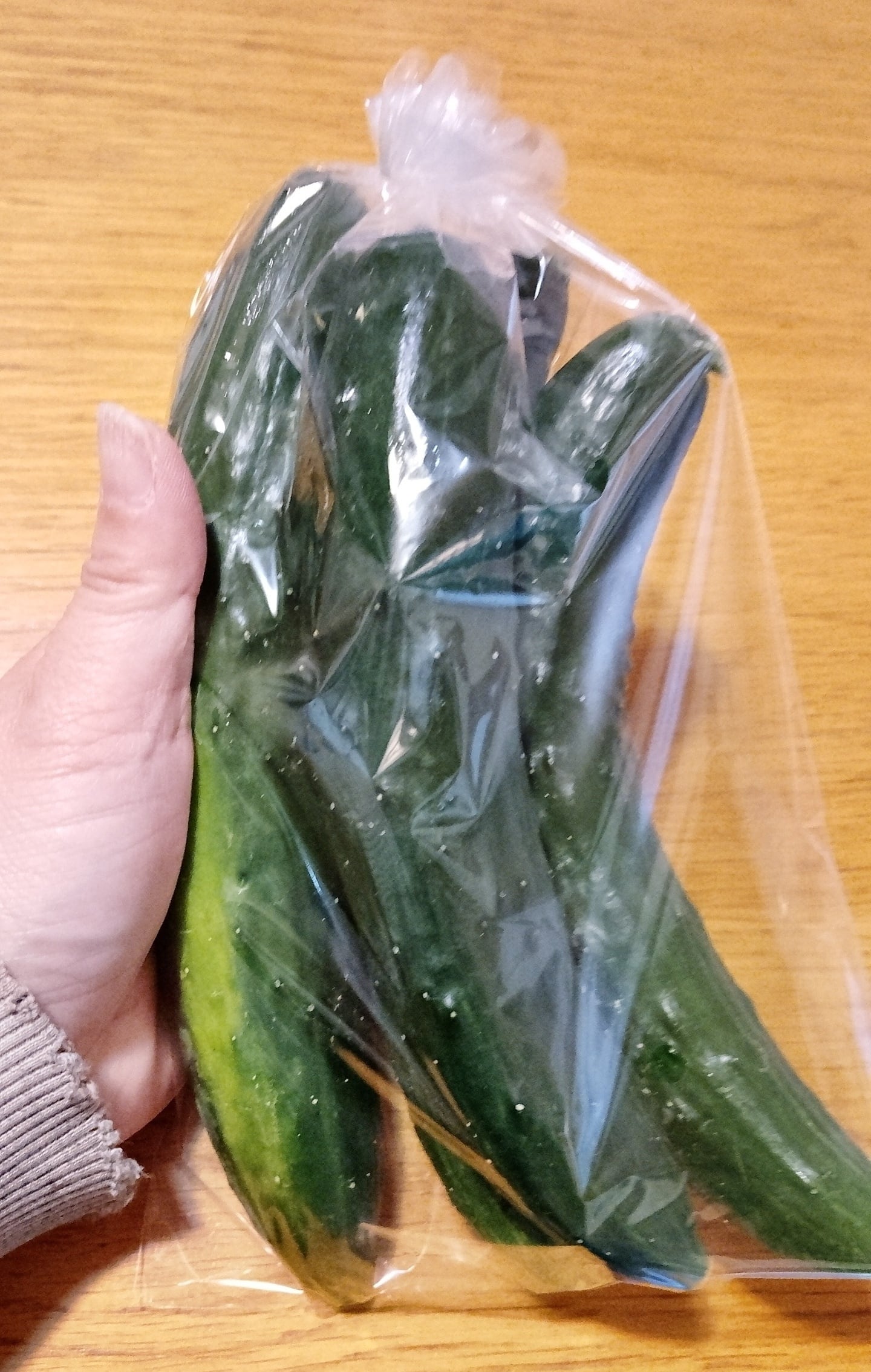 にのみや農園    【訳あり】不揃いきゅうり 1袋