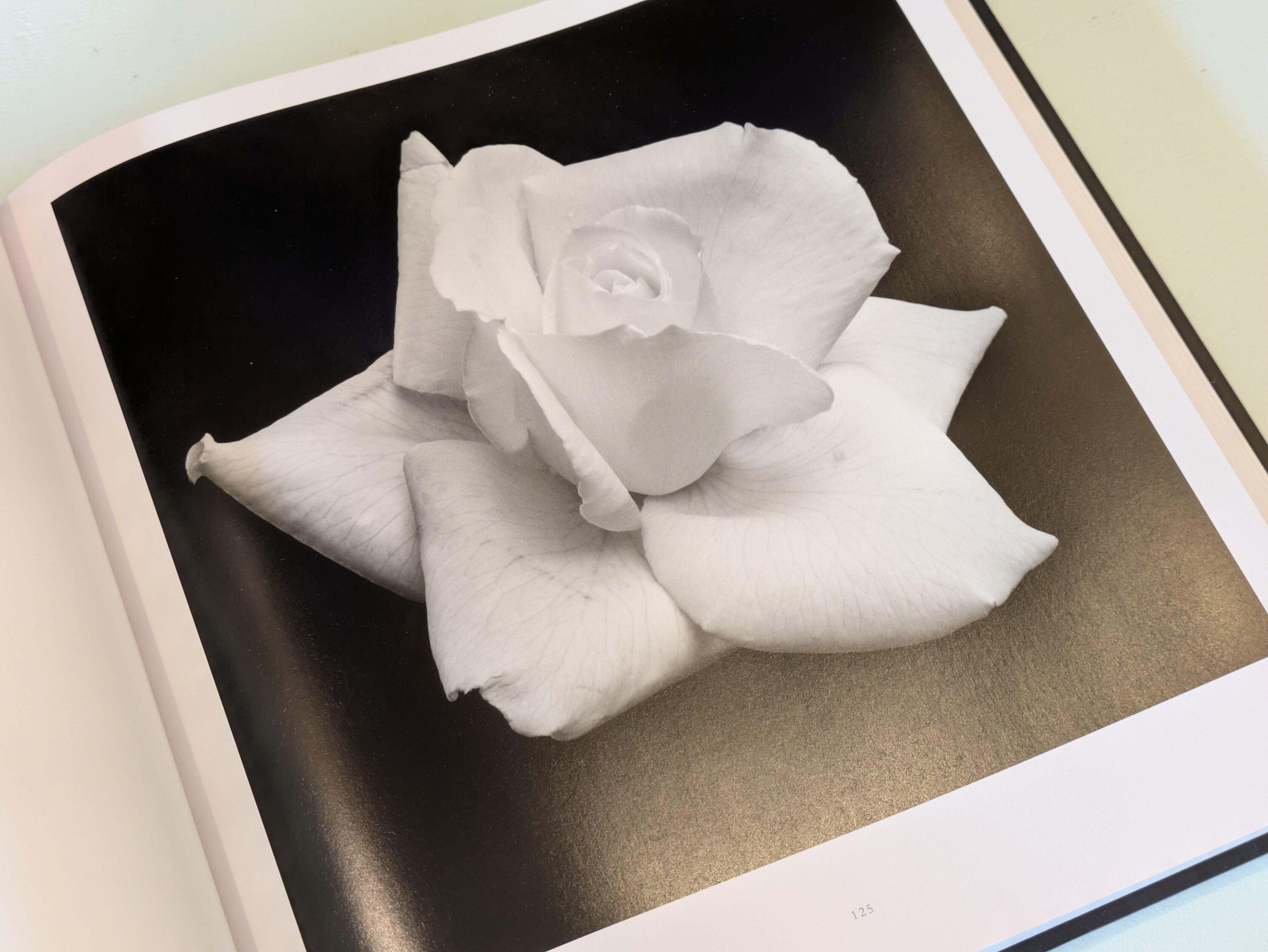 Mapplethorpe Flora : The Complete Flowers : Robert Mapplethorpe