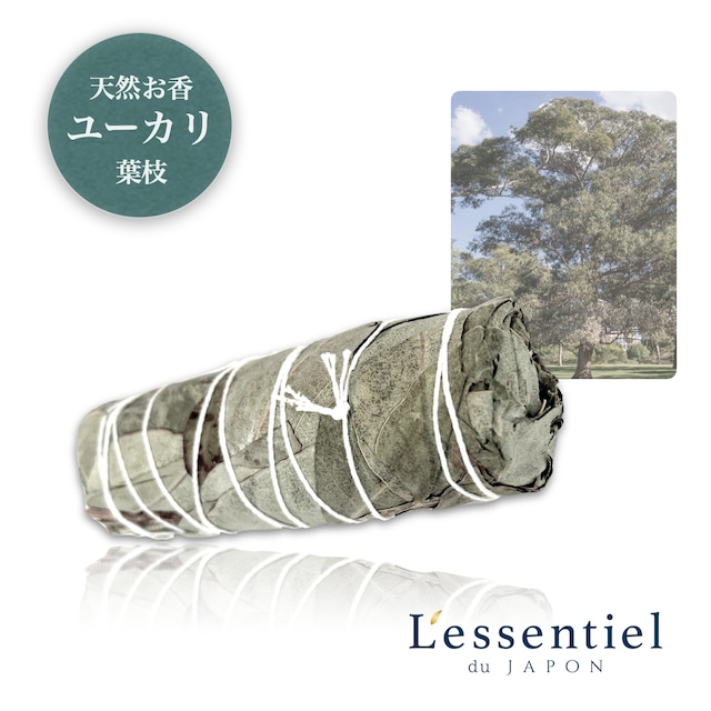 【 ホワイト アロマ キャンドル 】国産 4個入 ナチュラル 植物 原料 エコ SGDs 幸せ 優しい 香り アロマ ミニ カップ サイズ ティー 緑茶 いちじく 甘い 自然 フローラル サボン 蝋燭 暖房 プレゼント ギフト