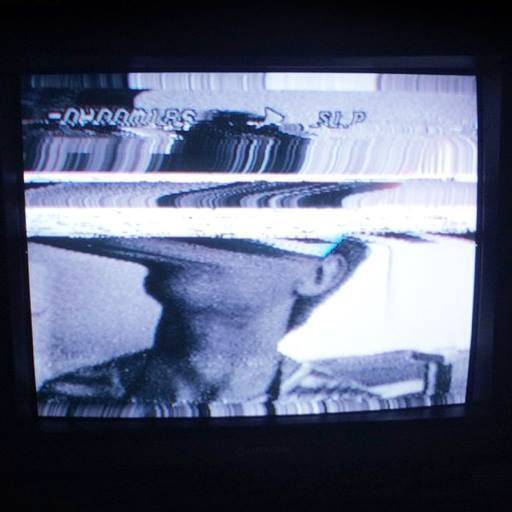 orchid mantis / How Long Will It Take（300 Ltd Cassette）