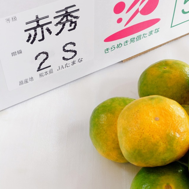 【熊本県産 極早生みかん】SSサイズ/1箱5㎏（約75個入り）　※包装・お熨斗無料