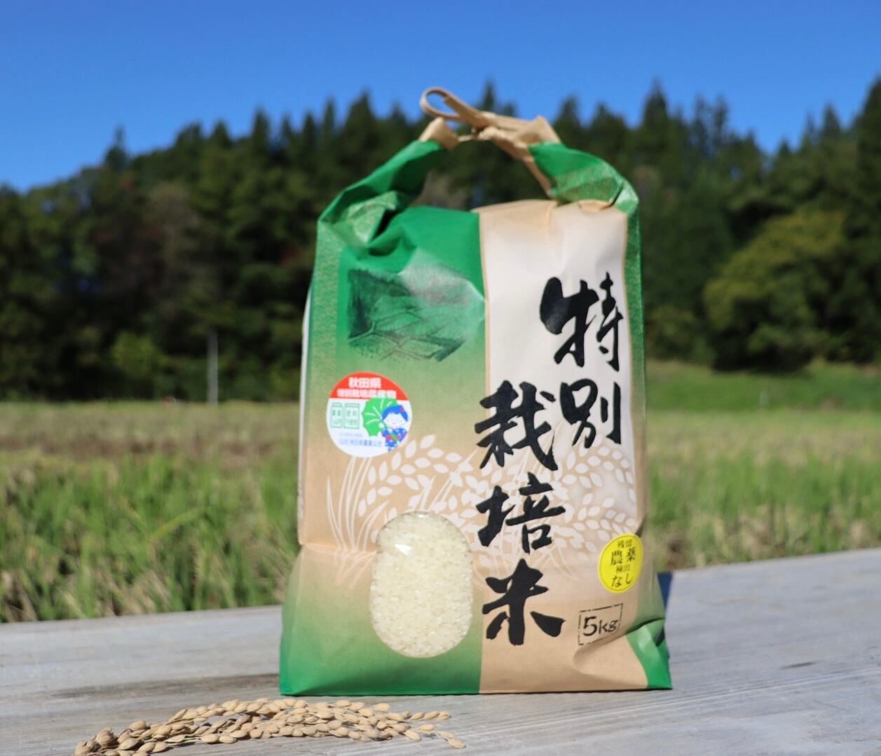 特別栽培米あきたこまち | 茂じいの田んぼ