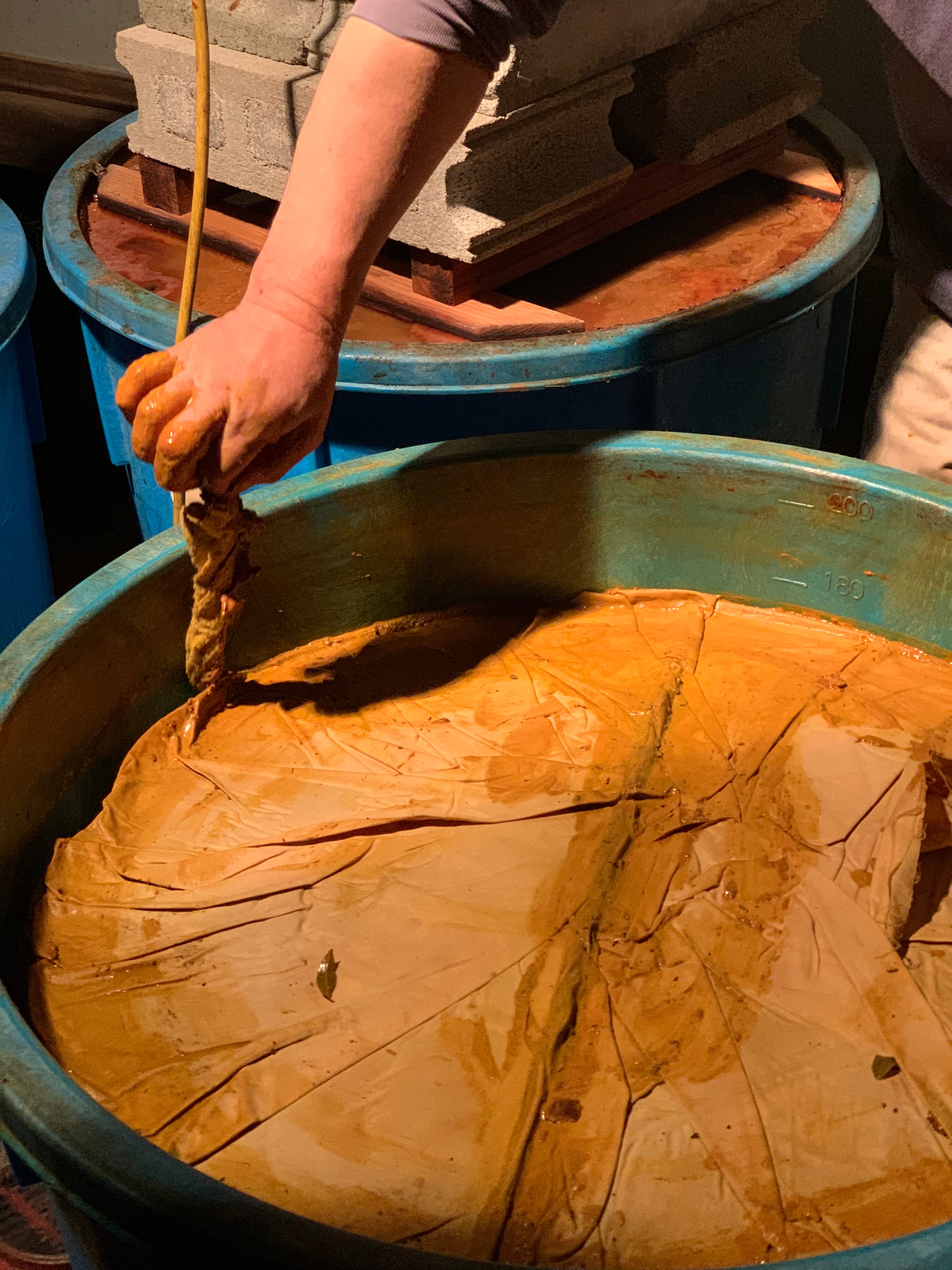 高木農園とペルトナーレの上勝阿波晩茶100g