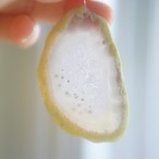 Tropical Sunrise 02 - アゲートヒーリングチャイム / Agate Healing Chime 1448