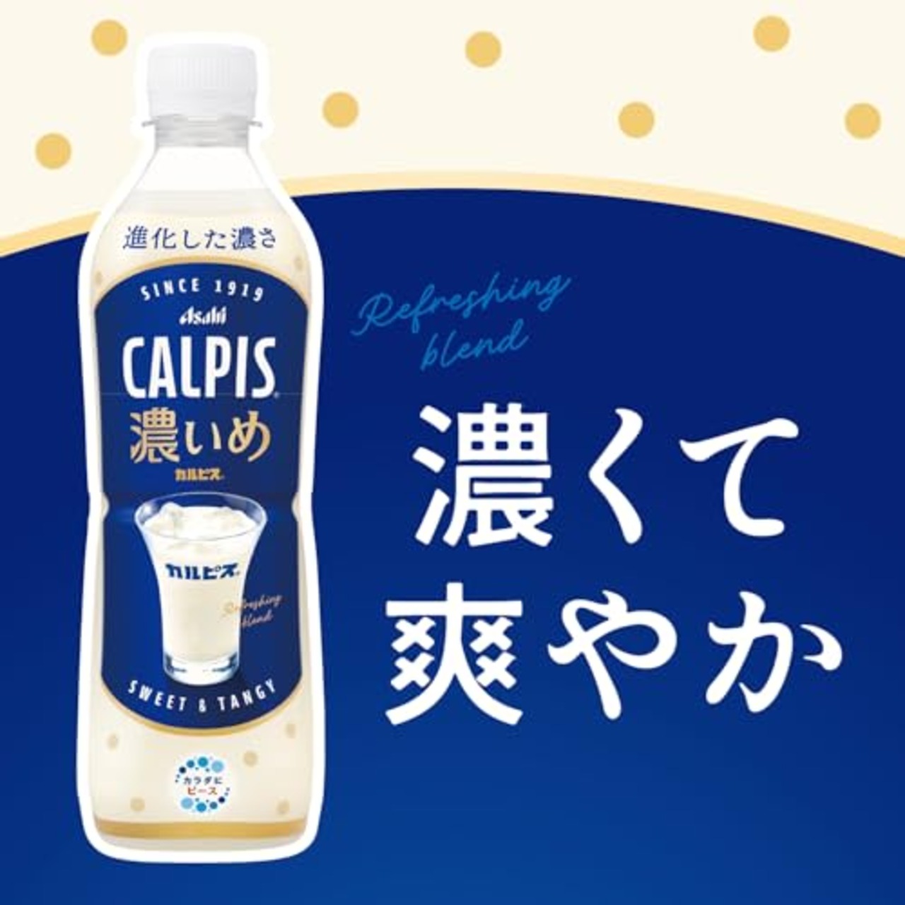 カルピス CALPIS 濃いめ 490ml×24本 [カルピス][乳酸菌][アサヒ飲料]