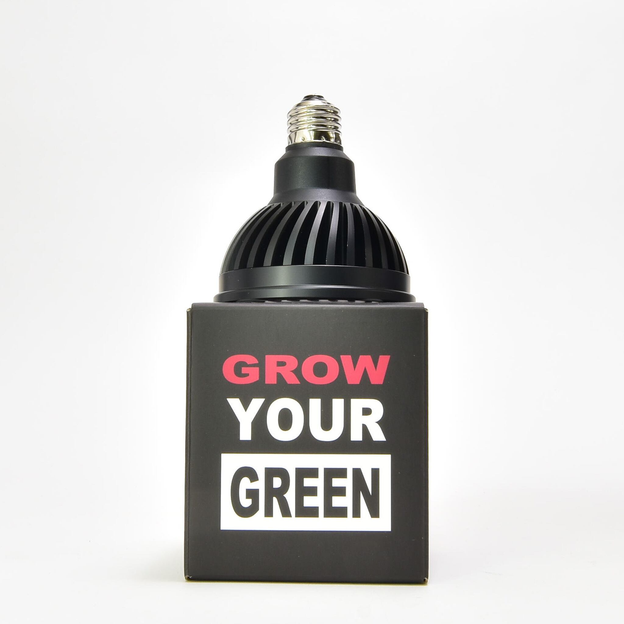 観葉植物専門店のオンラインショップ|TARGETPLANTSonline