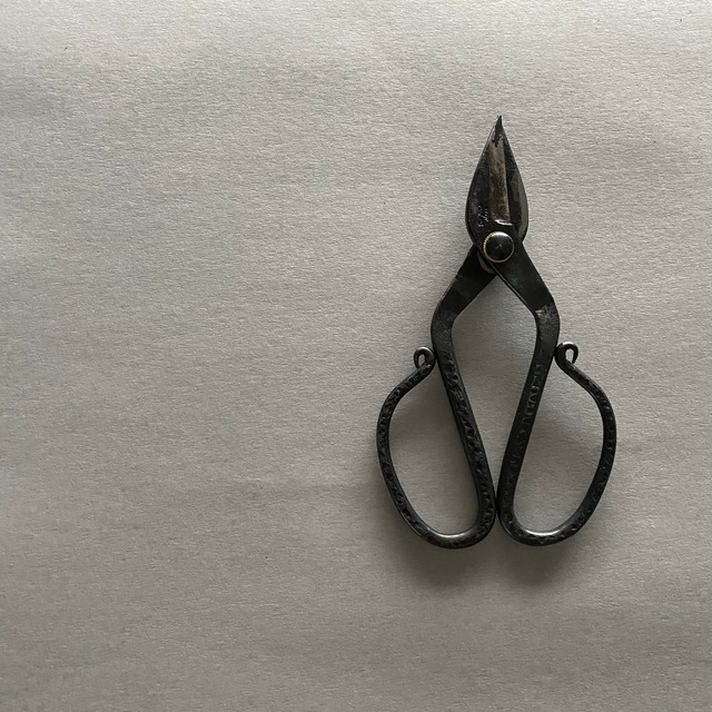 TAjiKA  Branch & root shears