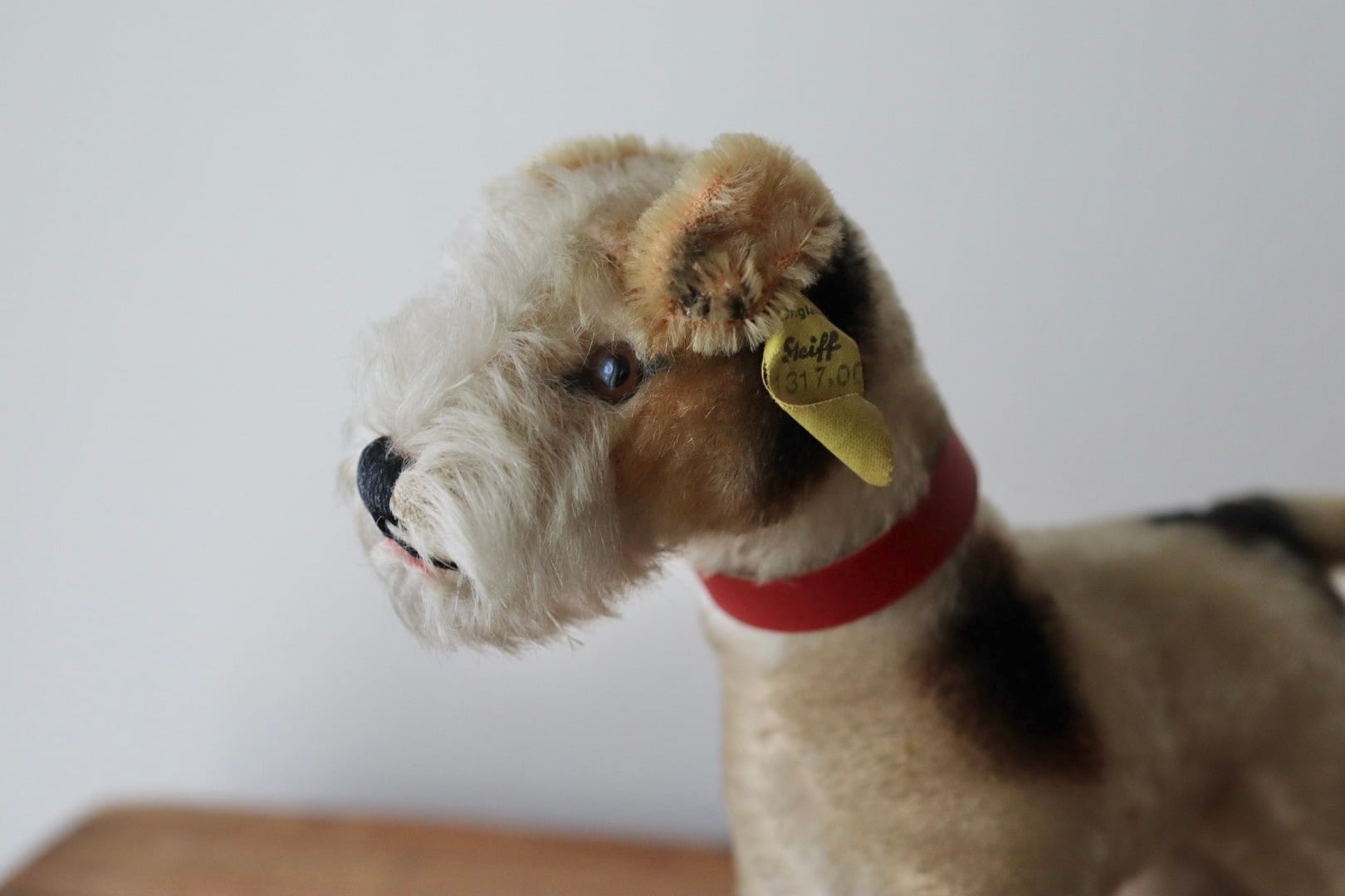 アンティーク シュタイフ 犬 ワイヤーフォックステリア Foxy 17㎝