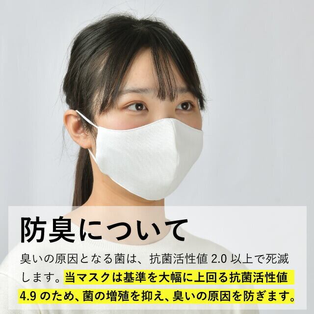 ホルミシオンMKマスク 6枚入り 抗菌・防臭 ホルミシオンMKマスク 6枚入り 抗菌・防臭