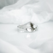The Day / Ring