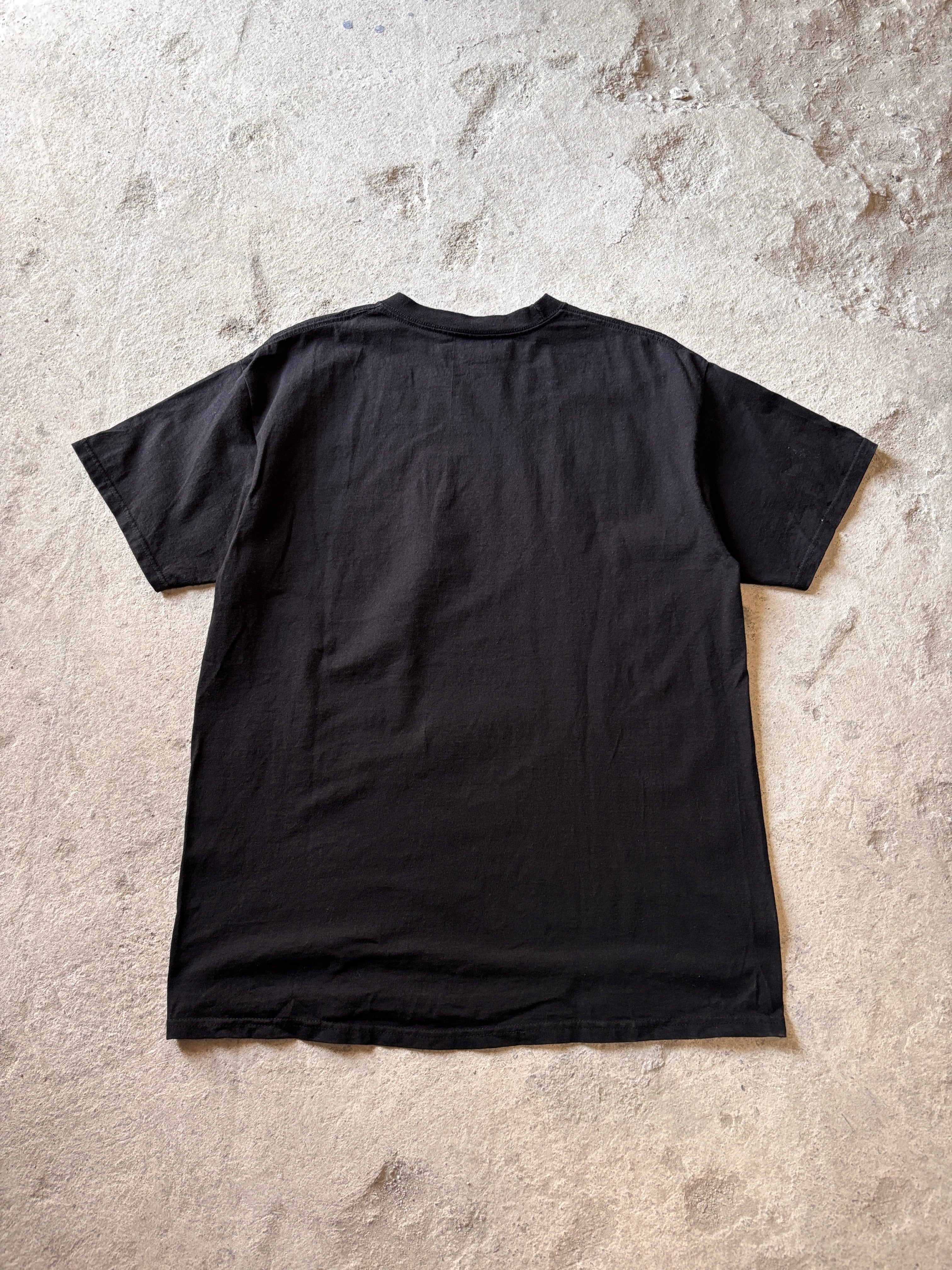 00s OLD STUSSY/96 DEGREES IN THE SHADE Tee/L/グラフィックプリントT