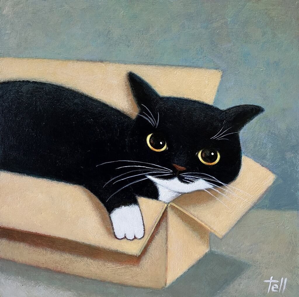 お気に入りの箱 | Mi caja favorita