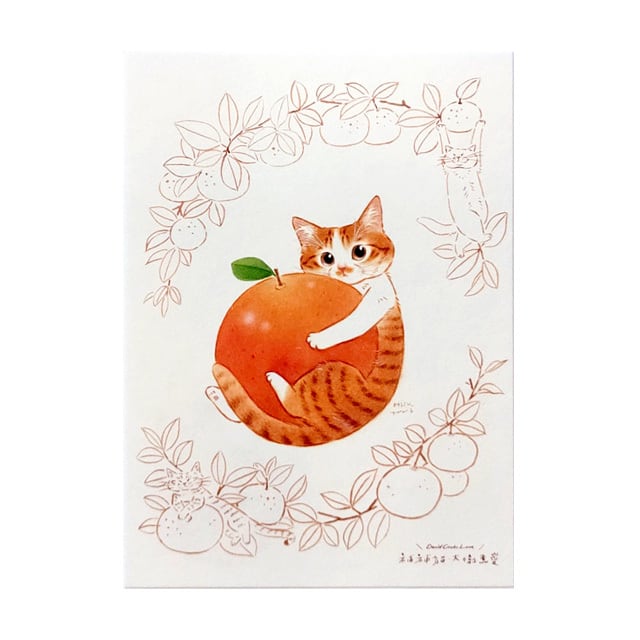台湾ポストカード 猫 「蜜柑と子猫」