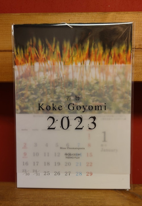 苔暦2023　カレンダー（値下げ）