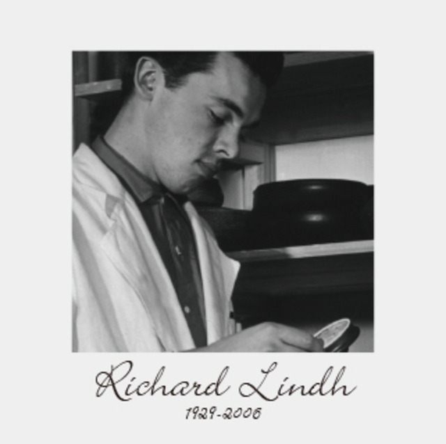 ARABIA アラビア Doria ドリア カップ＆ソーサー、プレート 3点セット - 1 北欧ヴィンテージ