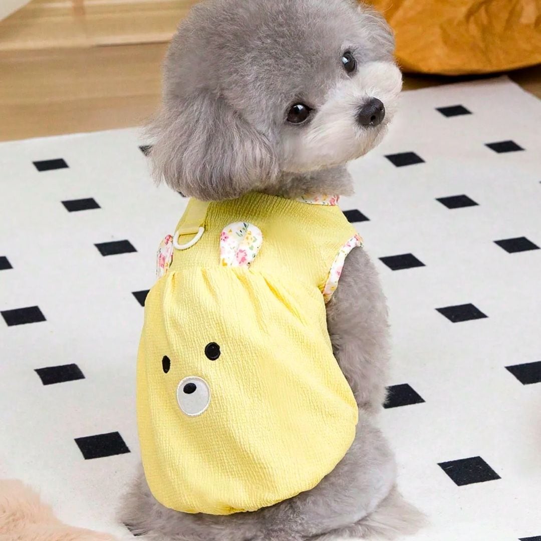 予約】くま耳ふんわりワンピース｜犬服 春夏 小型犬用 ナチュラル