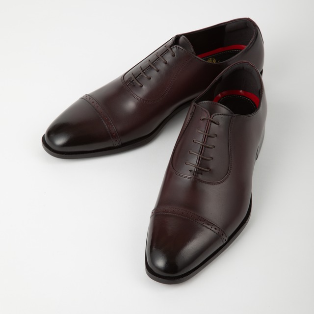 Orobianco 11281 [ Adelaide Oxford ] BORDO