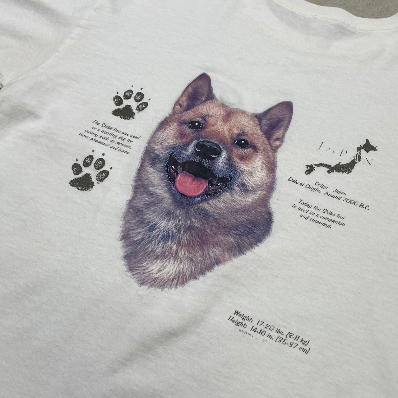 00年代 Shiba Inu 柴犬 アニマルプリントTシャツ 犬 イヌ メンズL 古着 