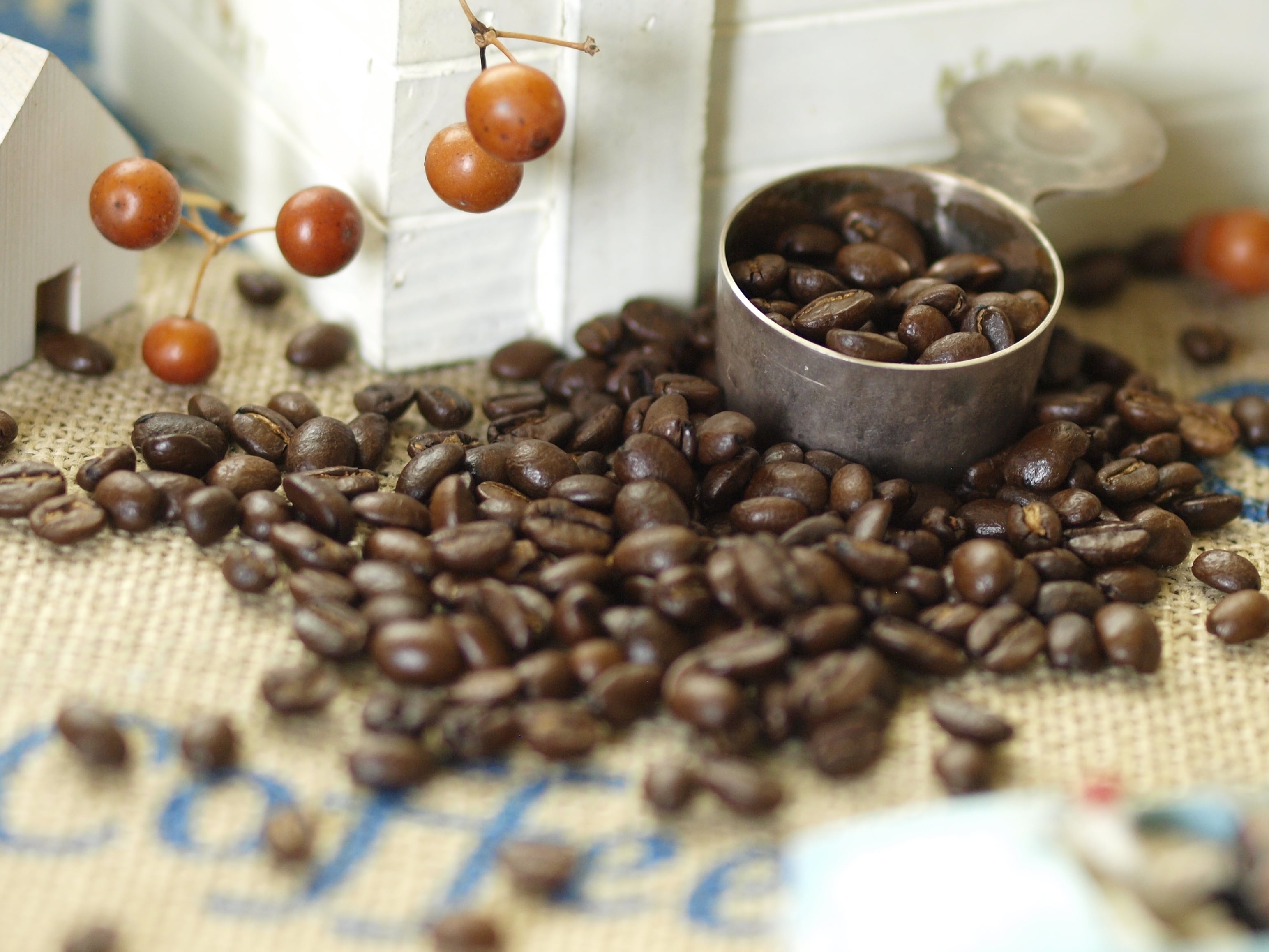 コスタリカ　ジャガーハニー