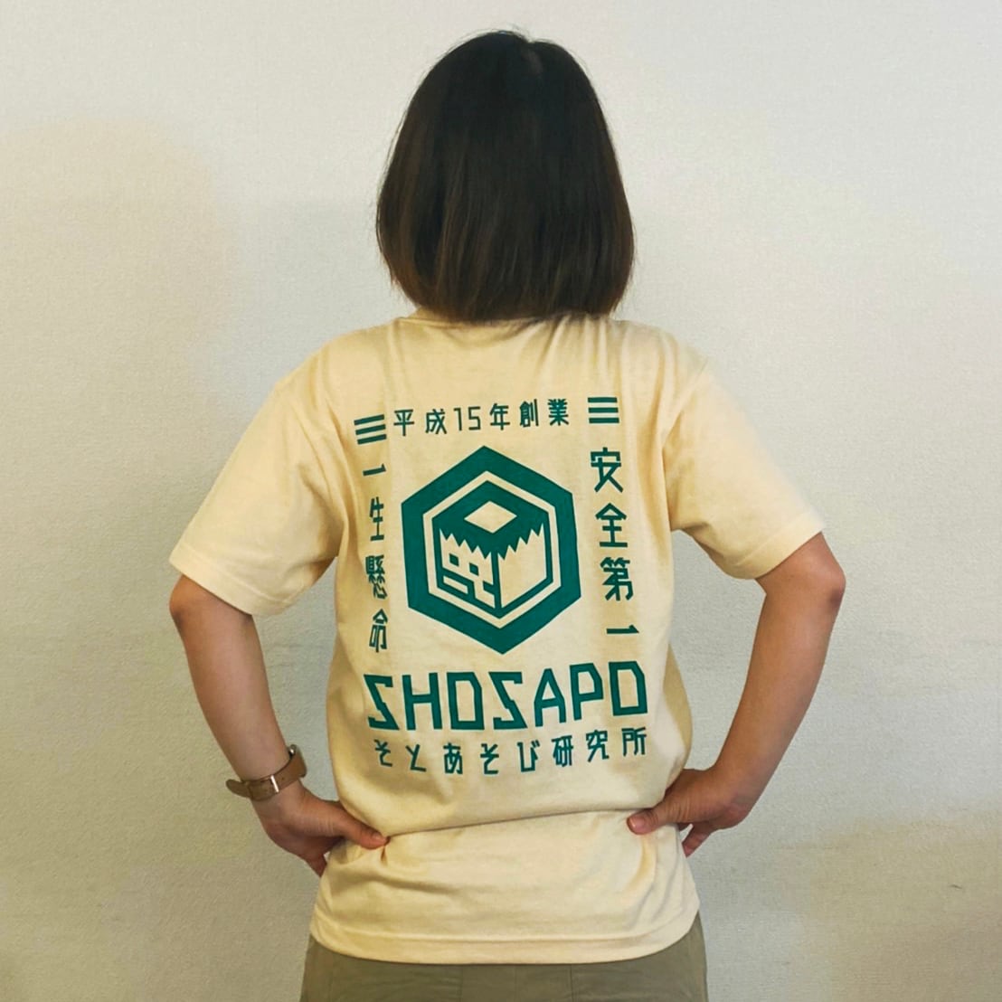 dfe12f8f147053dceecbb41492b201