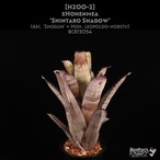 【送料無料】xHohenmea 'Shintaro Shadow'〔ホヘンメア〕現品発送H200-2