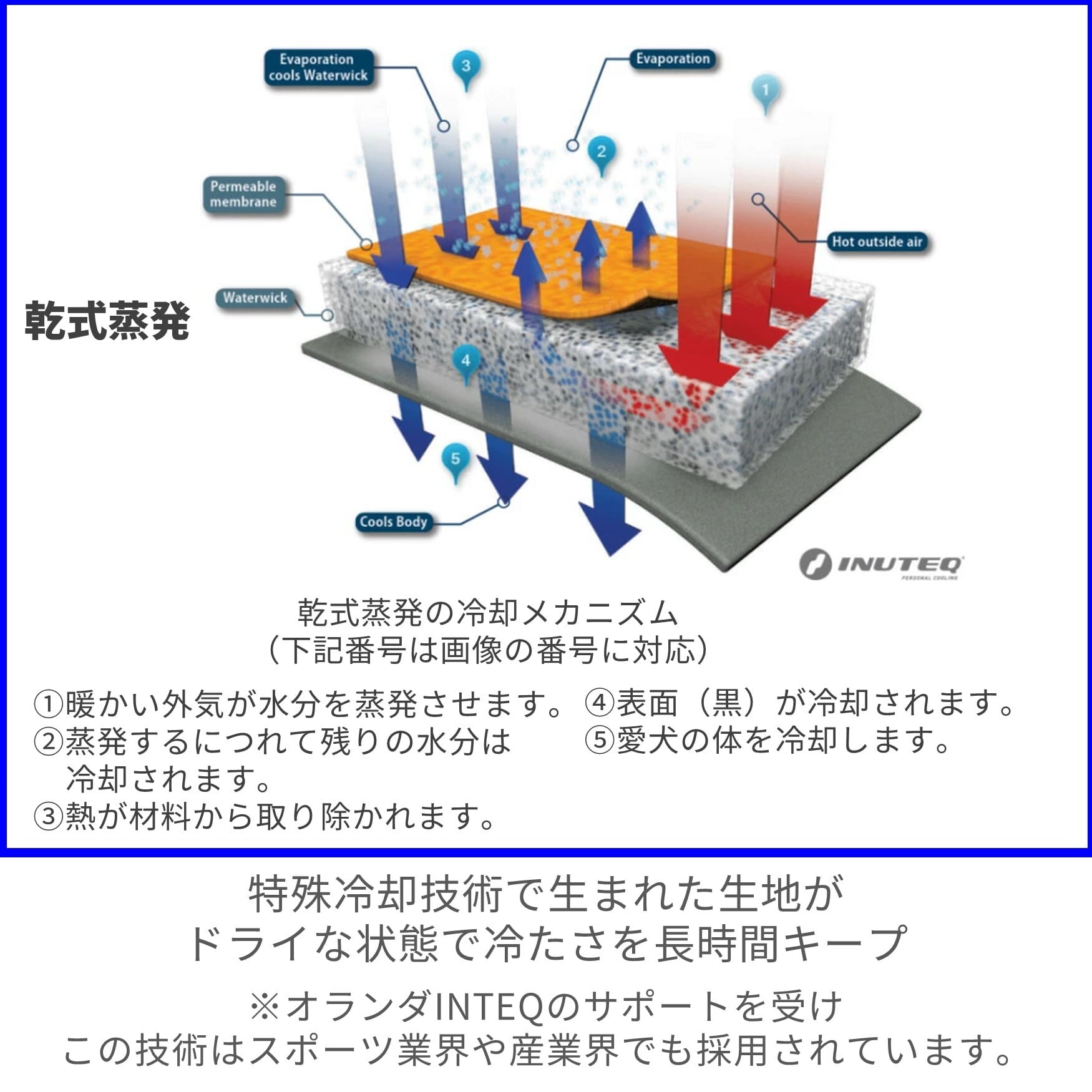 CANI COOL]カニクール クールマット Lサイズ【クーリングマット