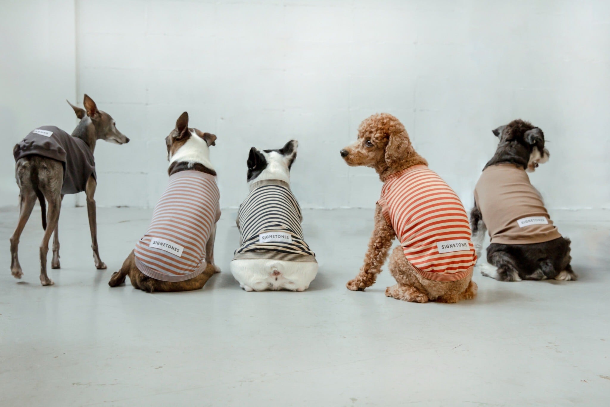 PACK TEE | SIGNETONES