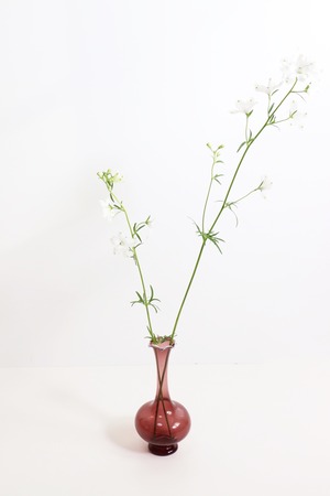 Short frill vase