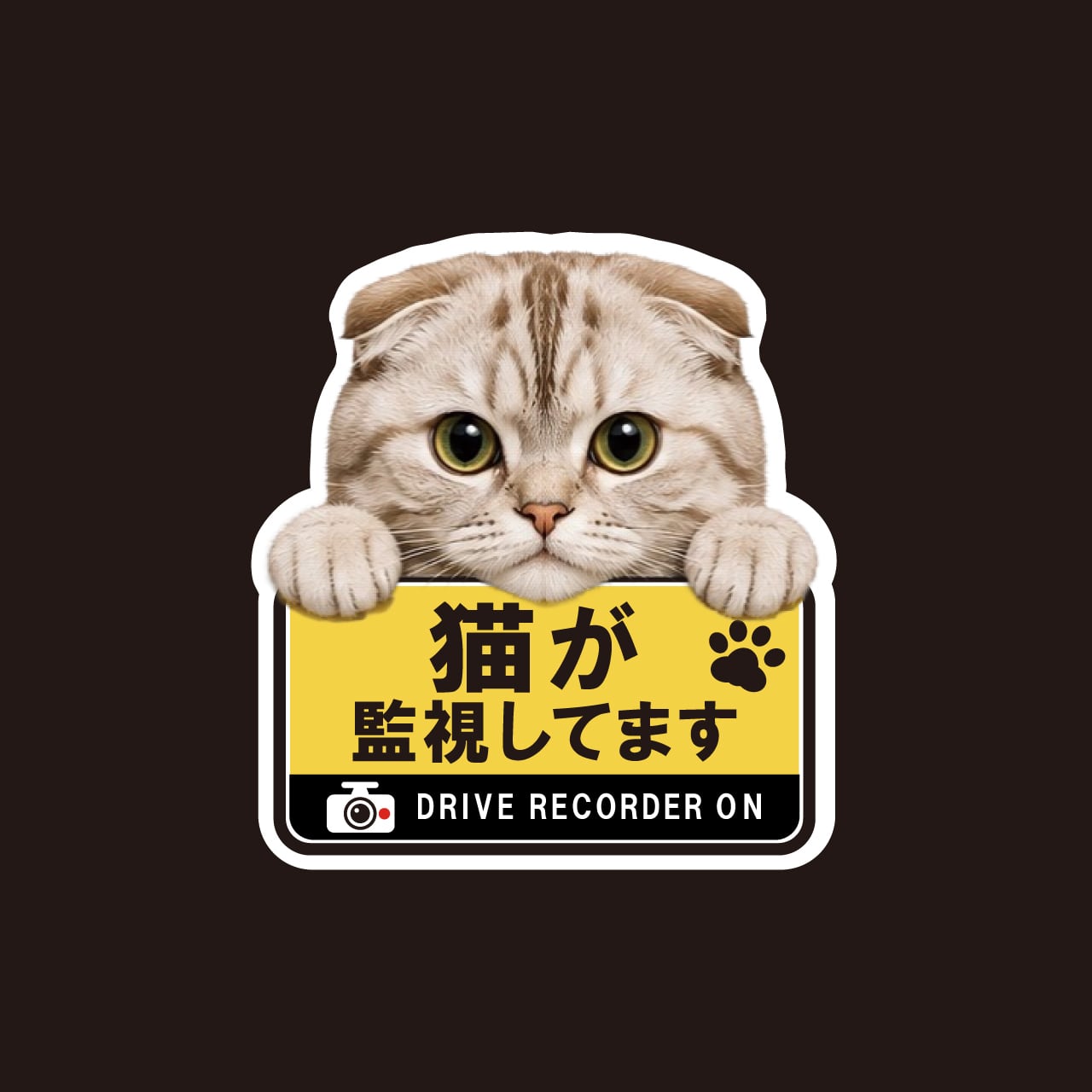 スコティッシュフォールド・スコ・猫・ドライブレコーダー・ドラレコステッカー・撮影中・車・ステッカー・インクジェット印刷・屋外用・猫好き・ドライブグッズ・監視しています・おもしろい・かわいい・肉球