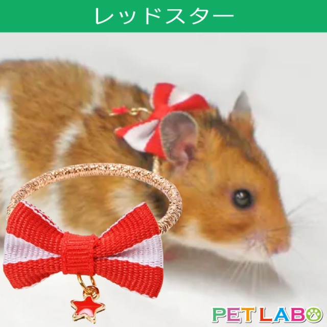 【メール便発送可能】Amo.k(アモワークス)ハムスター用アクセサリー・レッドスター