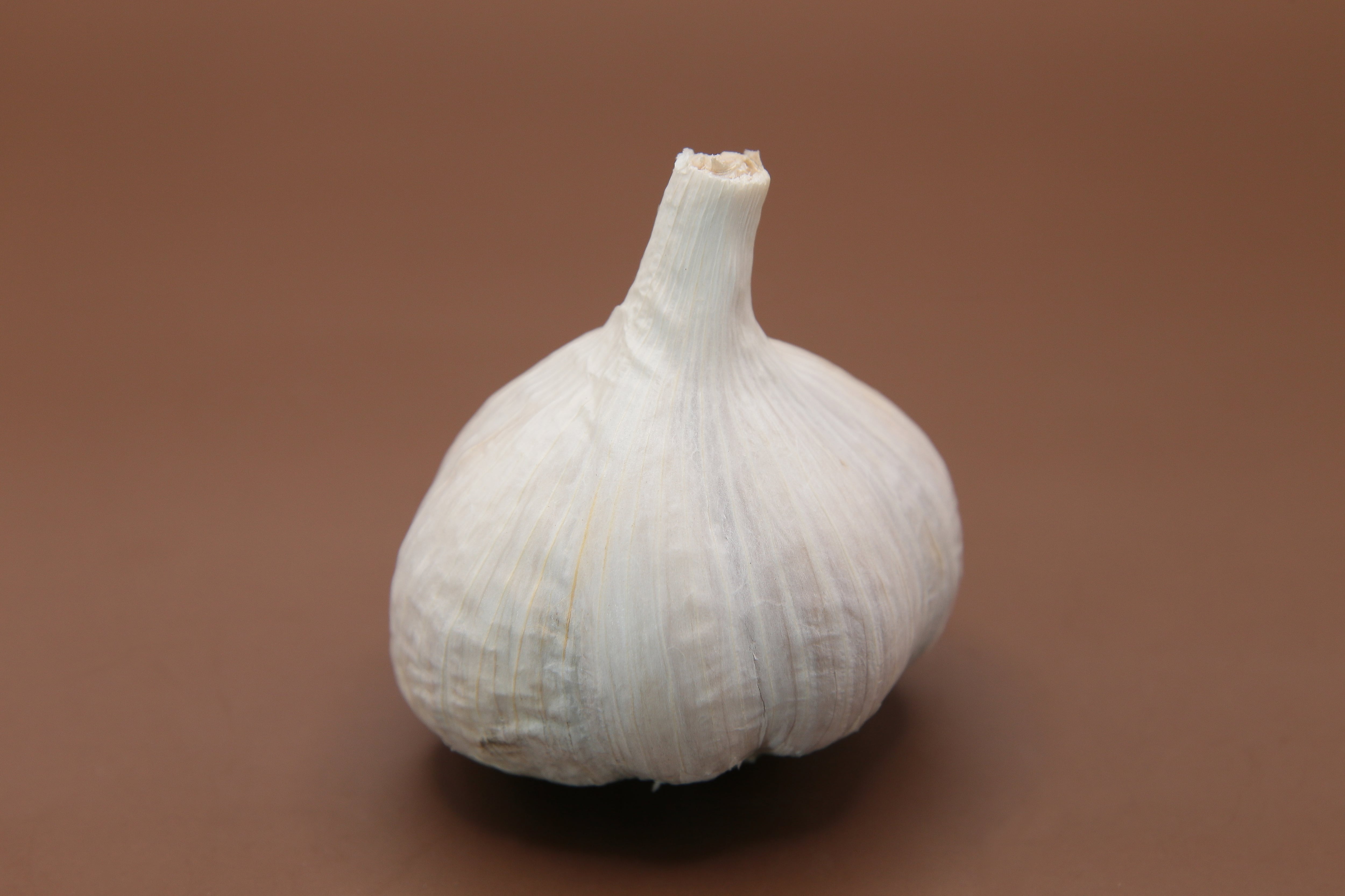 海外にんにく】「太倉（たいそう/タイツァン）」 M玉サイズ1kg（ 20