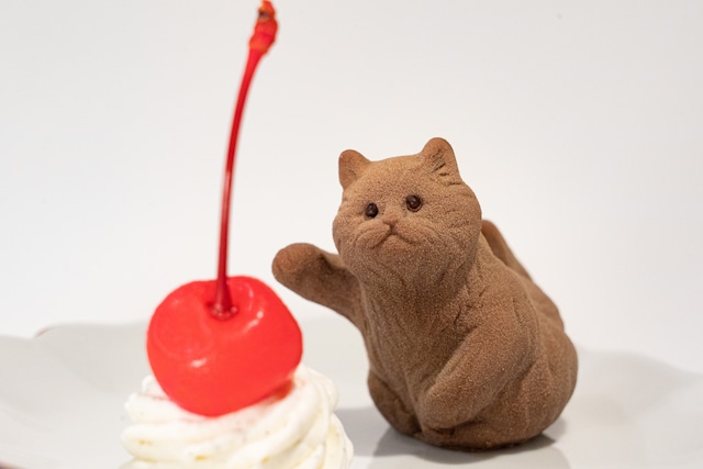 【Supreme Partner Cake -ねこ-】3Dプリンターで作る愛猫のチョコレートケーキ / BRUTUS 「あしたのベストバイマーケット」参加商品