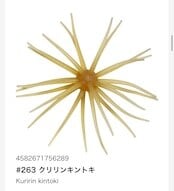 HIDEUP 旧コイケソフトマテリアル ハイドアップ | fishrock