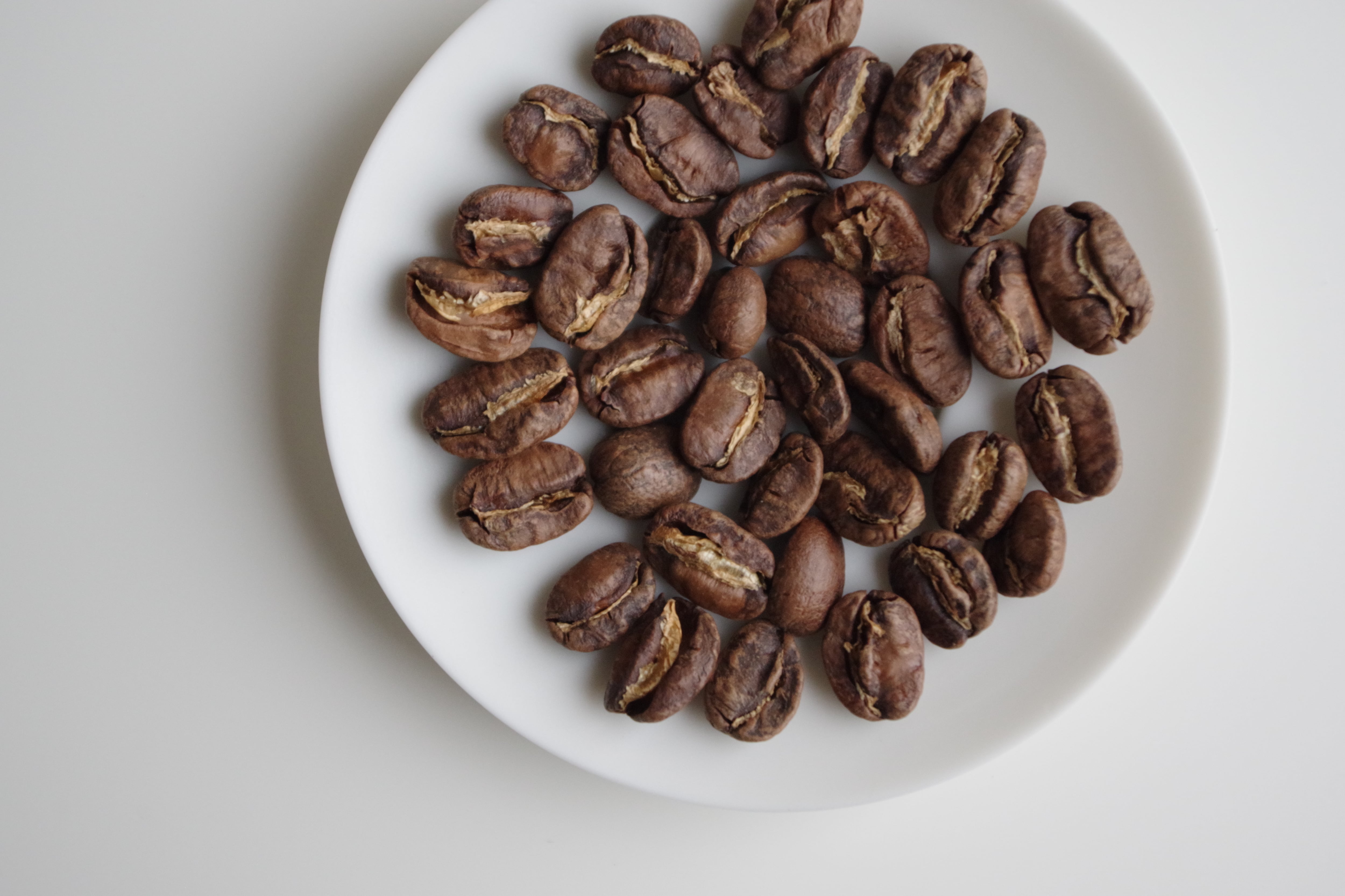 グアテマラ エルインヘルト パタゴニア区画 パカマラ(中浅煎り)100g