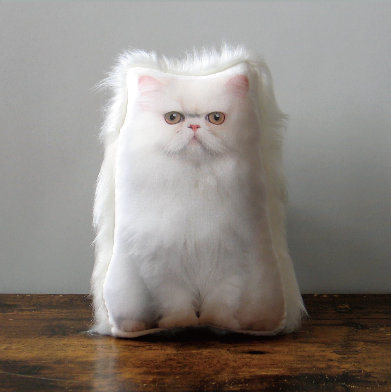 Gosinnka様専用ネコちゃんブローチオーダーページ 猫　ペットクッション　猫クッション　メモリアルクッション　うちの子クッション　親バカクッション　メモリアルグッズ　ぬいぐるみ　人形　ペットロス　 インテリア　オーダーメイド　画像　写真　うちの子　親バカ　グッズ　ペルシャ猫　モコモコ | opg1 powered by BASE