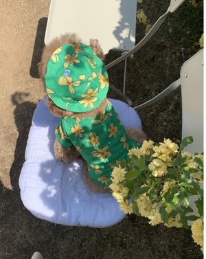 【THEREST OF LIFE】HAWAIIAN FLOWER SHIRT(green)