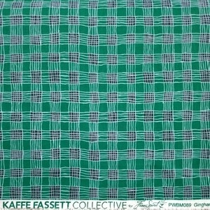 USAコットン ケイフファセットコレクティブKaffe Fassett Gingham Aqua PWBM089