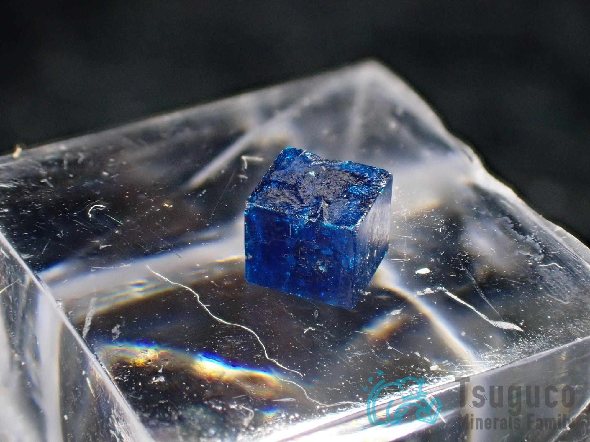 ボレアイト ボレオ石 メキシコ 原産地標本 TM-588 | つぐこみねらるず