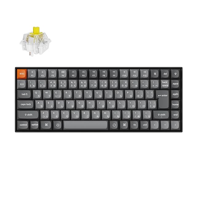 RK  Kludge RK S98 JPメカニカルキーボード 静音軸付 Amazon | RK ROYAL KLUDGE S98 JP メカニカルキーボード