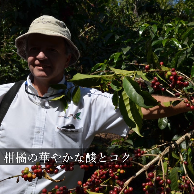 ガテマラ「サンタ・カタリーナ農園　ピーベリー」中深煎り　200g