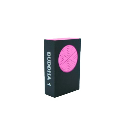 GRISTLEISM BUDDHAMACHINE グリスリズム ブッダマシーン GRISTLEISM グリスリズム BUDDHAMACHINE ブッダマシーン